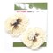 Belagio Colorfast Floral Accents, 2" Diameter, Embroidered Flowers, 2 Piece Pack, White